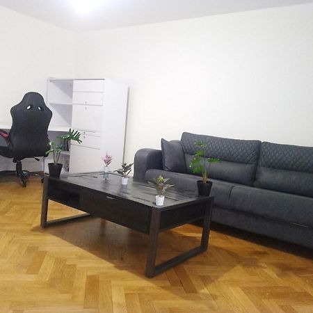 Charming Flat Center And Near The Lake Geneva Exterior photo